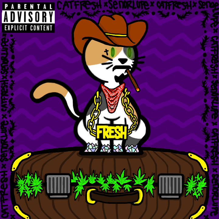 IS COLLABS #12&nbsp;🔥