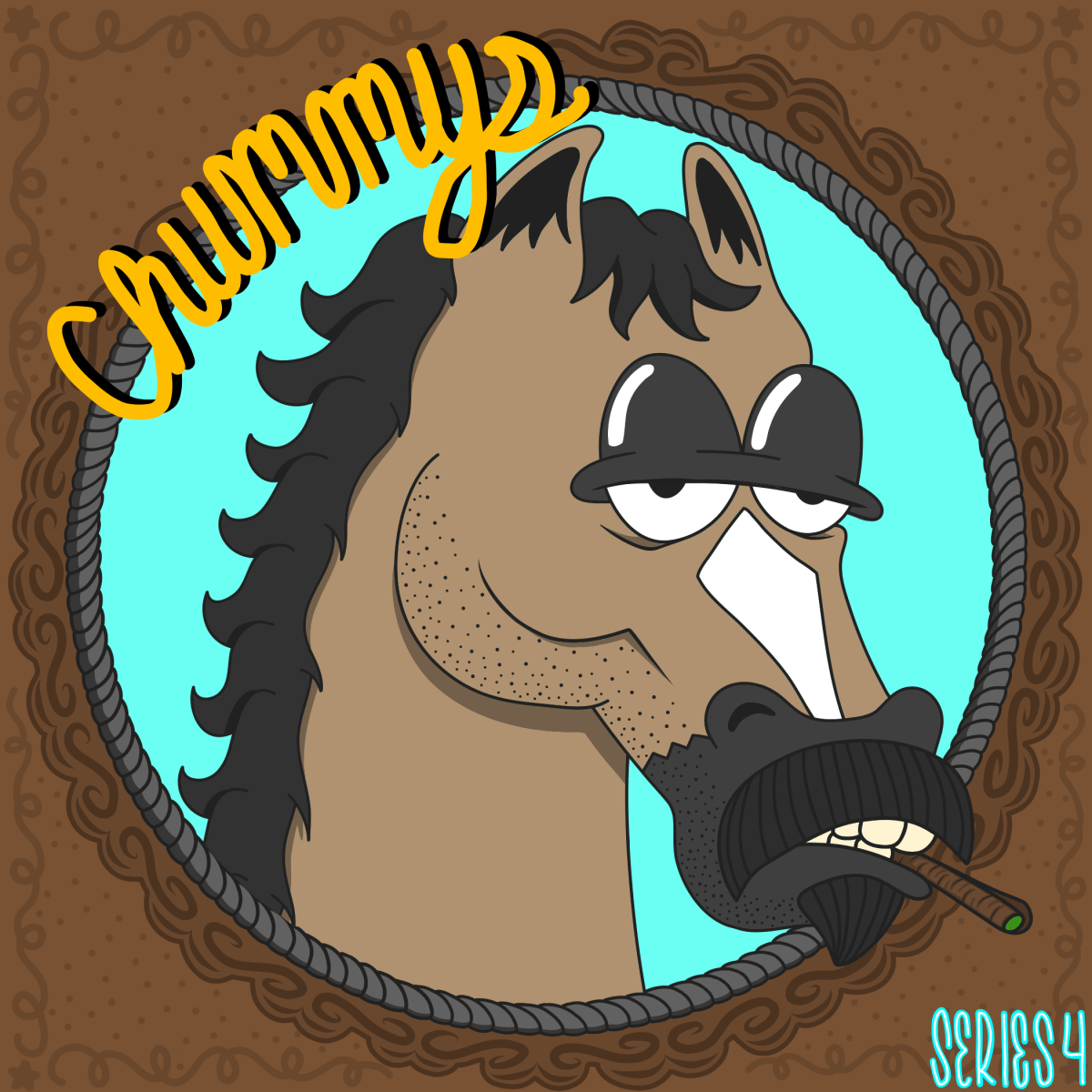 CHUMMYS SERIES 4&nbsp;🌵